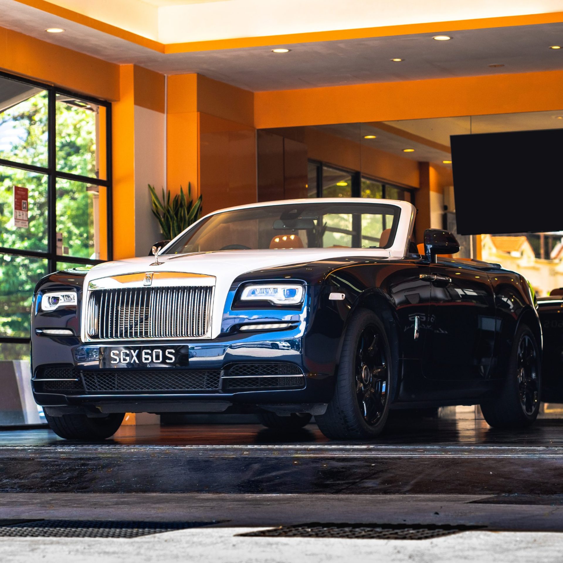 Next powered by EA Detailer