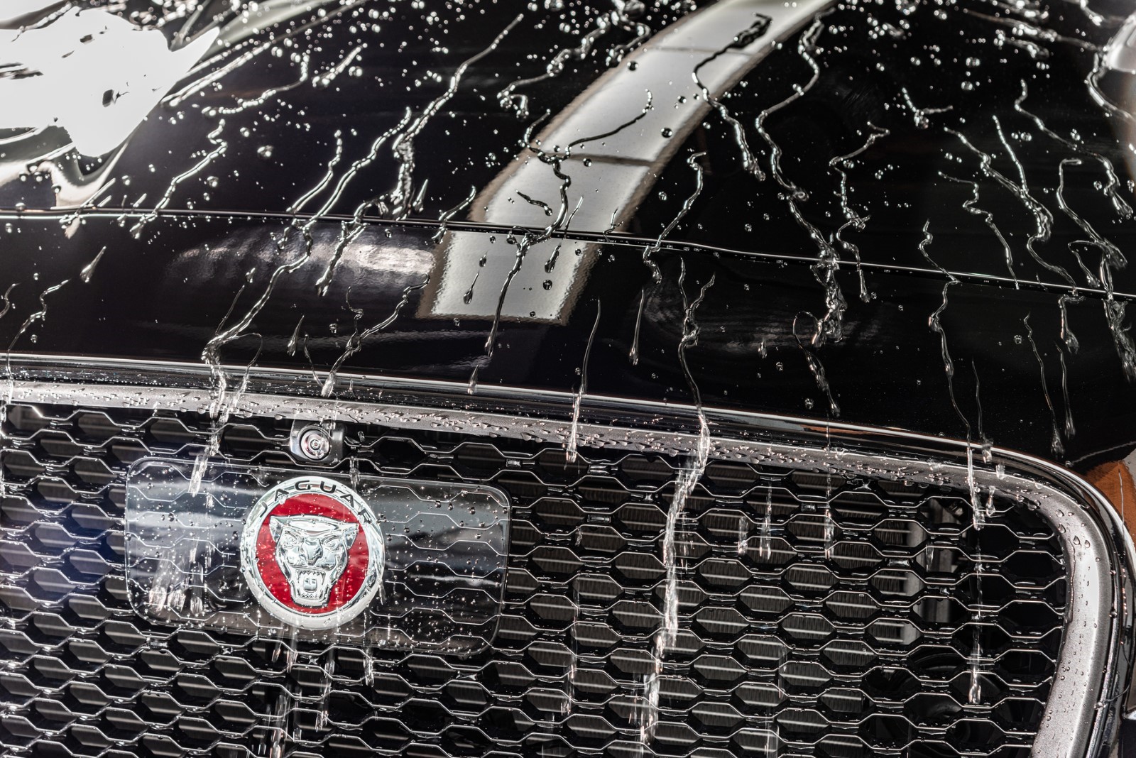 Next powered by EA Detailer